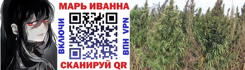 Конопля гибрид  Волгоград 